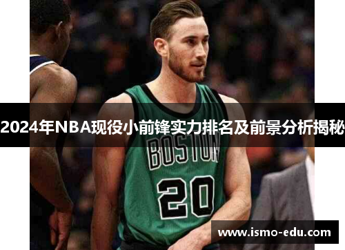 2024年NBA现役小前锋实力排名及前景分析揭秘